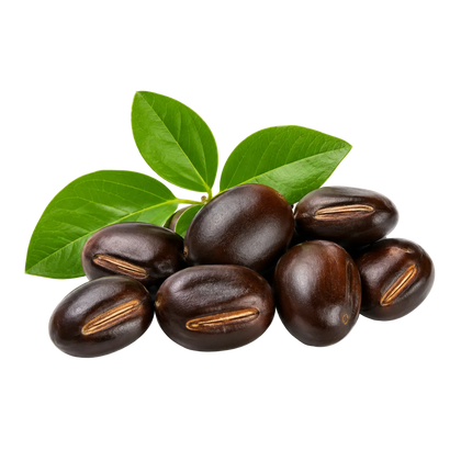Griffonia Seed