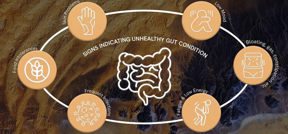 Diagram illustrating the key warning signs of an unhealthy gut and dysbiosis