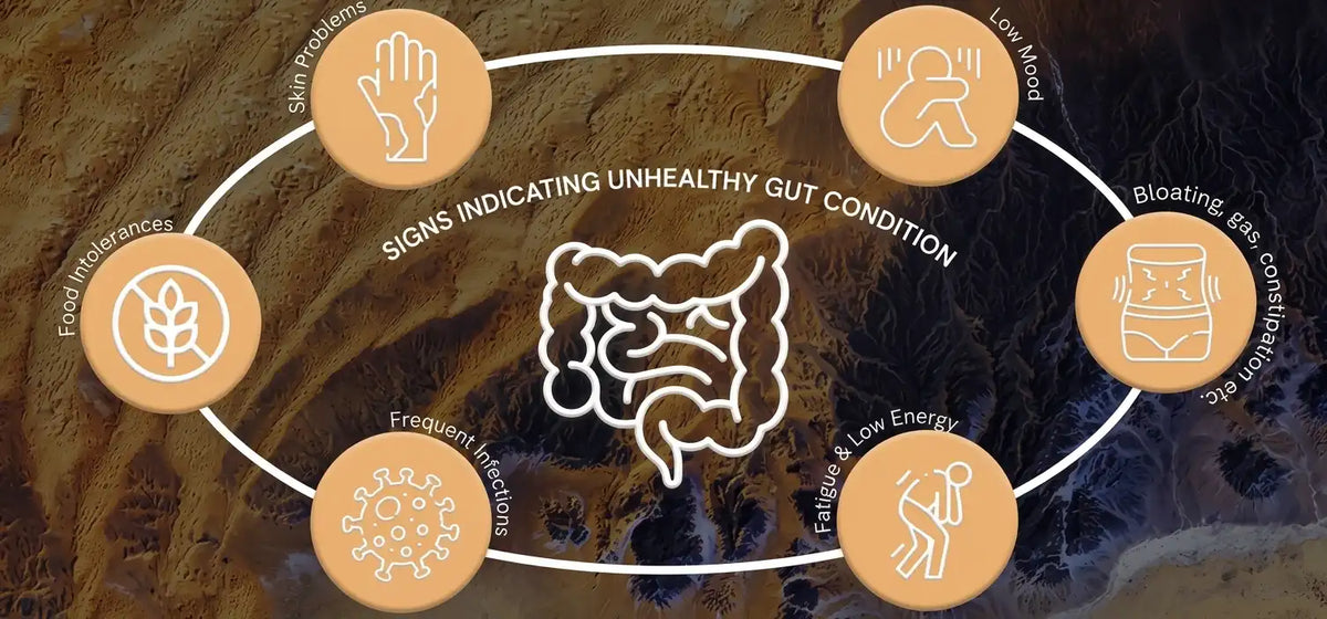 Diagram illustrating the key warning signs of an unhealthy gut and dysbiosis