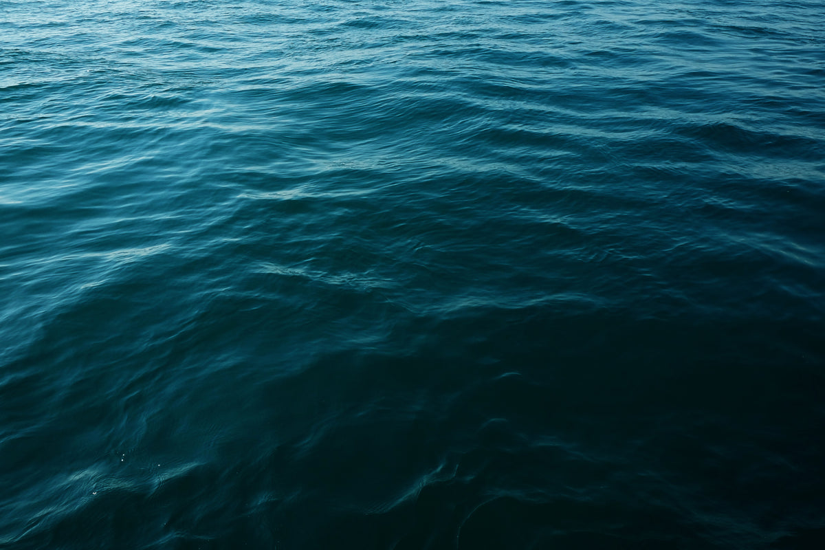 Is Krill Oil better than Fish Oil?