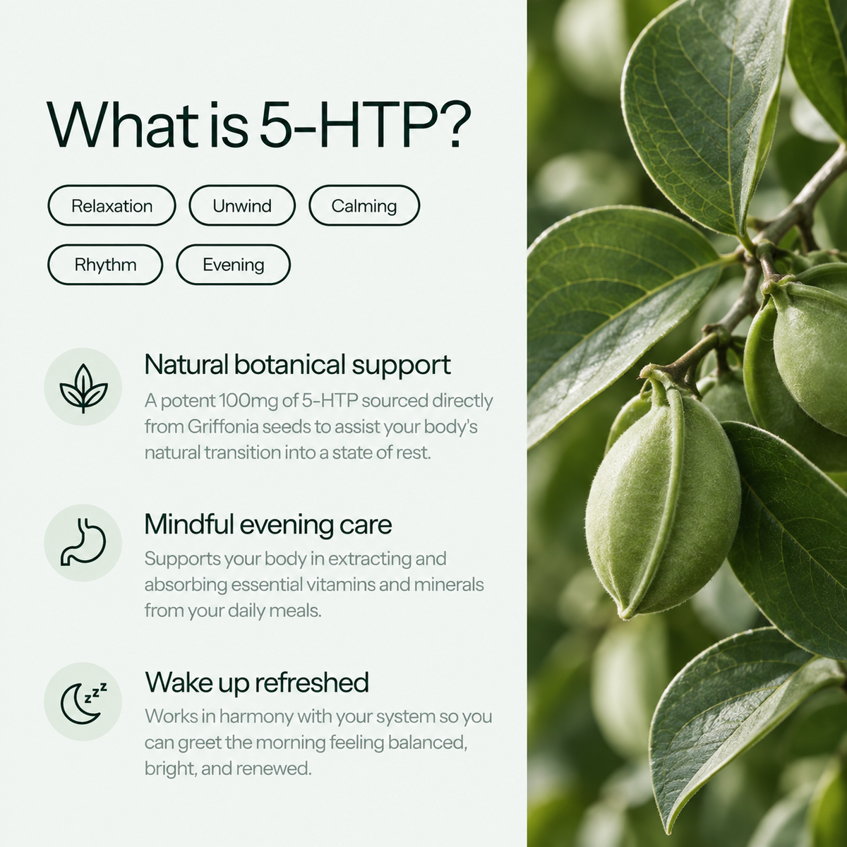 Bedtime 5-HTP Griffonia Seed