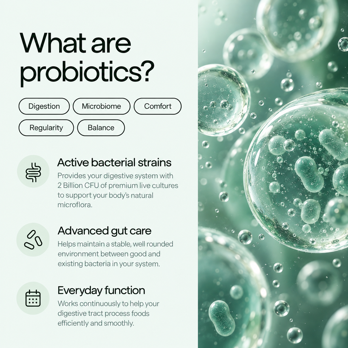 Gut Health Probiotic