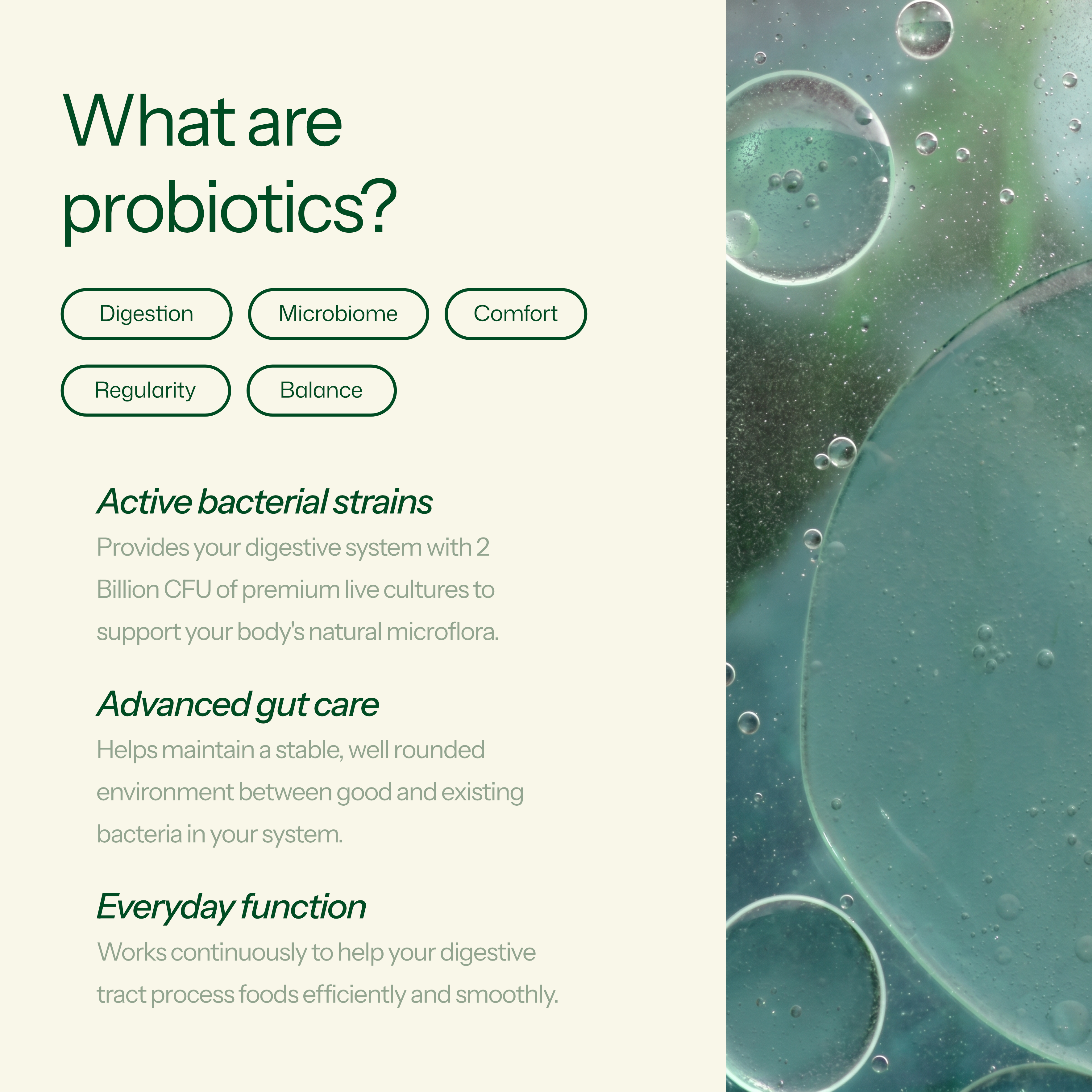 Gut Health Probiotic
