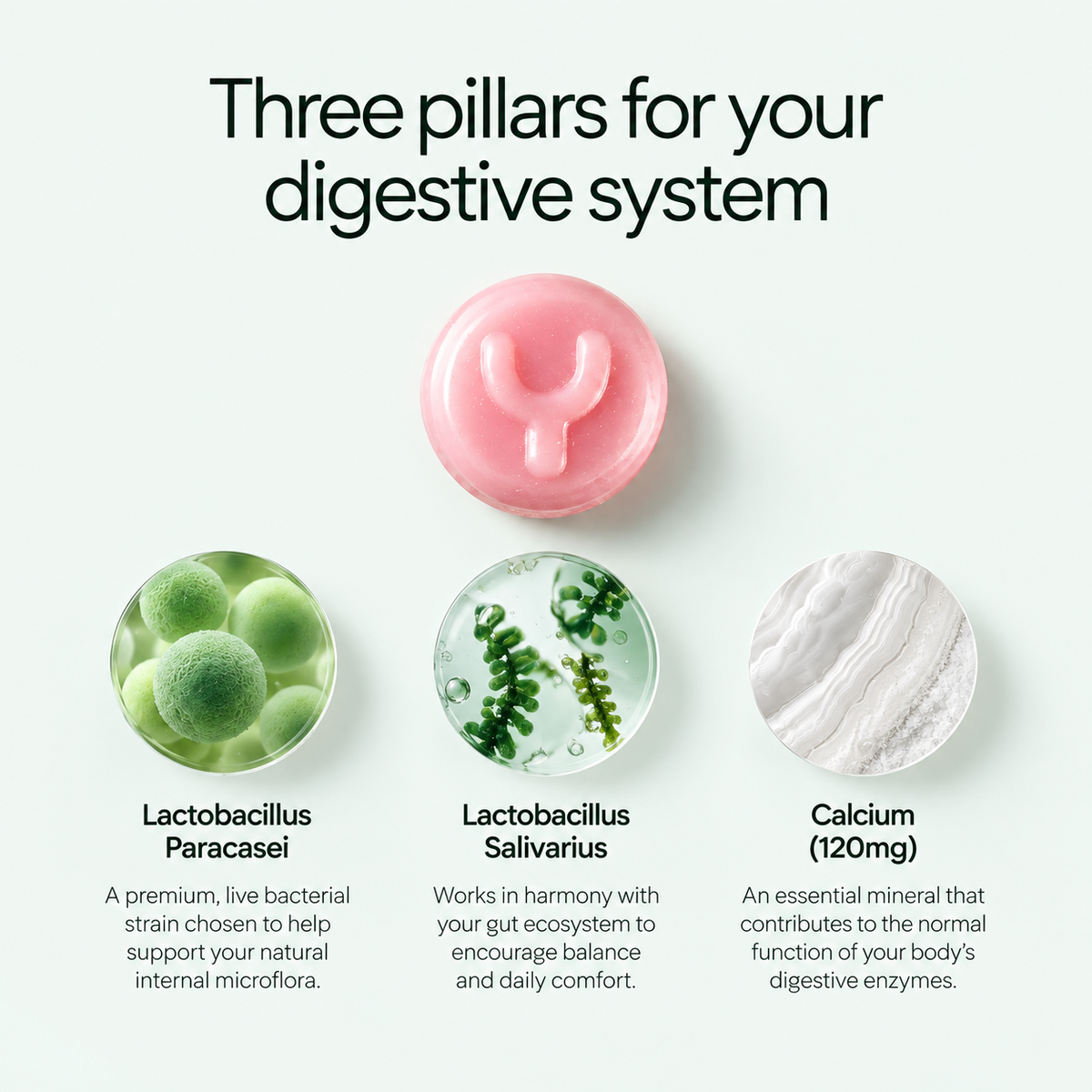 Gut Health Probiotic