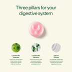 Gut Health Probiotic