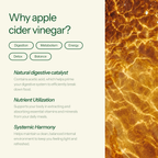 Apple Cider Vinegar 120 Gummies with B12 & Folic Acid
