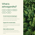 Wellness Ashwagandha 