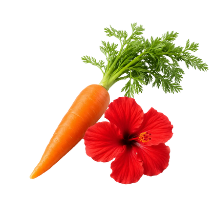 Natural Colouring Foods