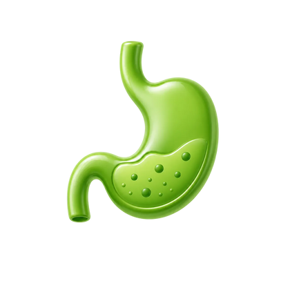 Digestive Support