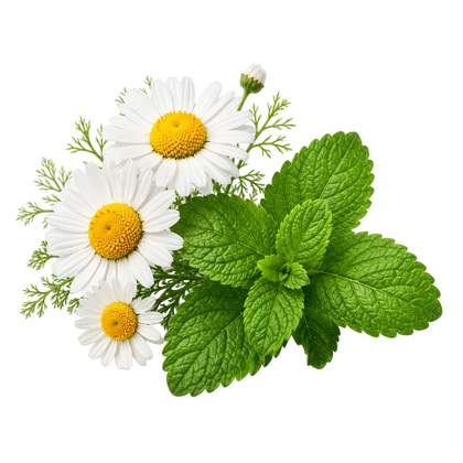 Botanical Blend