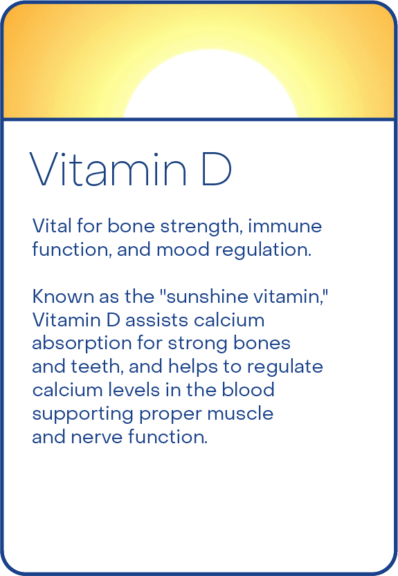 Ingredients master_ADE-02.png__PID:cde6b735-3626-4cd1-a57e-63b340a3f0e5