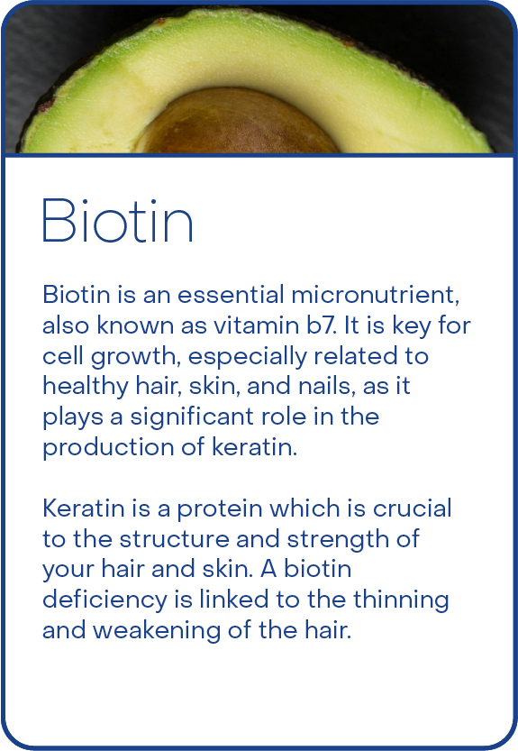 Ingredients master_HSN-09.png__PID:98b6400e-6d50-4c51-acb0-3b0a5de44c6c