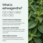 Infographic asking What is Ashwagandha detailing benefits for calm, balance, focus, and vitality with green ashwagandha leaves