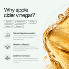 Infographic detailing why apple cider vinegar benefits digestion, metabolism, energy, detox, and nutrient utilization