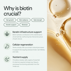 Infographic asking Why is biotin crucial with bullet points covering keratin support, cellular regeneration, and nutrient supply