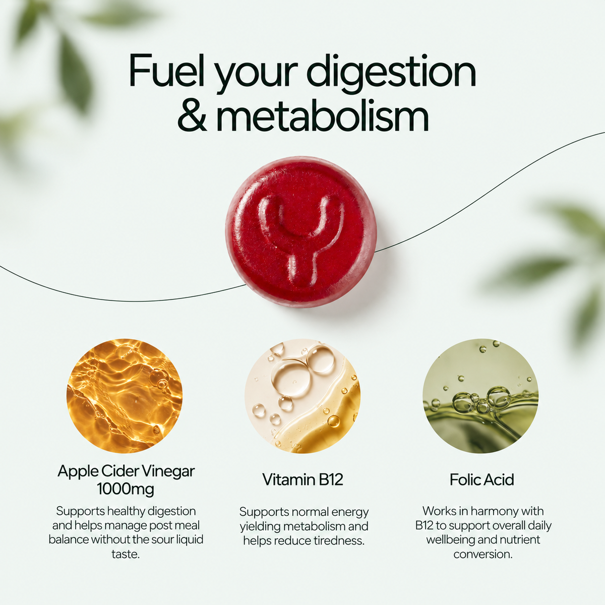 Promotional graphic highlighting Apple Cider Vinegar 1000mg, Vitamin B12, and Folic Acid for digestion and metabolism